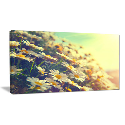 Wrapped Canvas Photograph