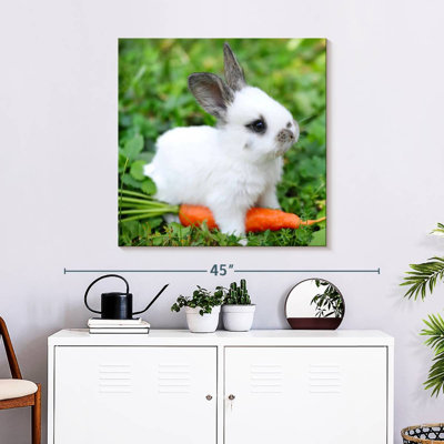 Crowle Baby Rabbit With Carrot