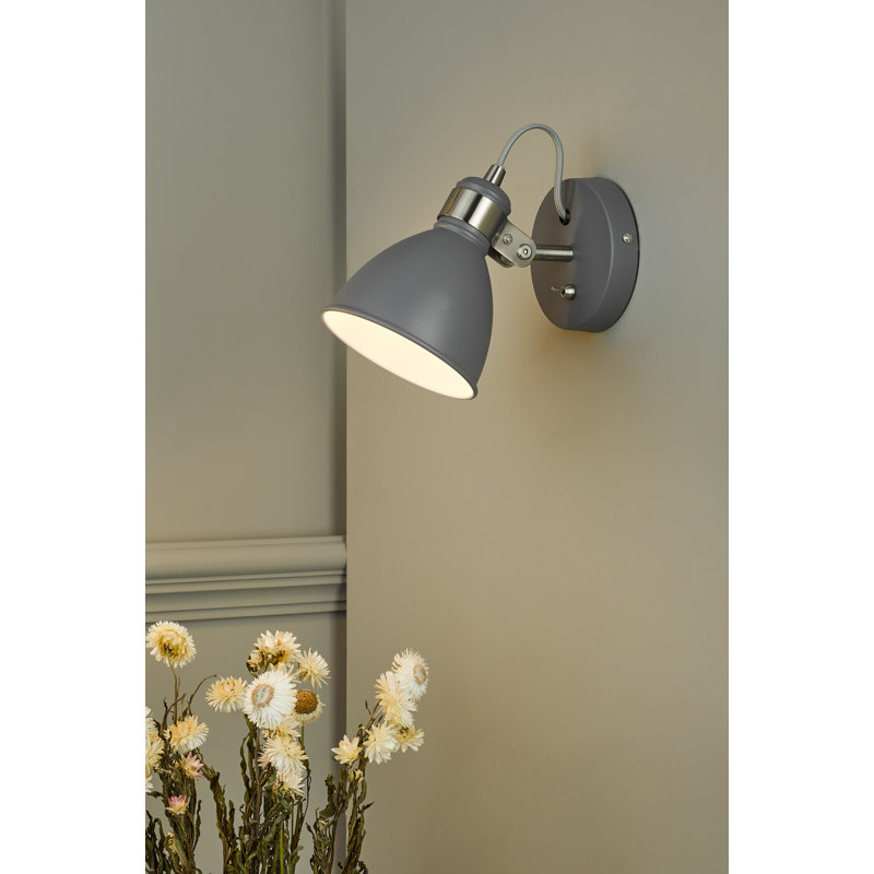 Azalea Spotlight, Grey