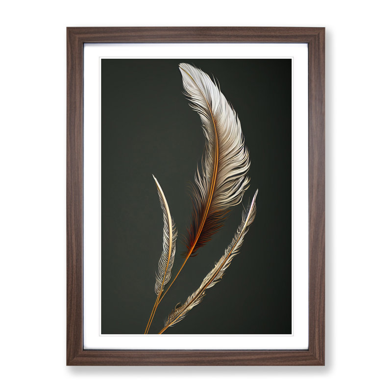 Angel Feathers - Wall Art, 34cm H x 25cm W, Walnut Framed