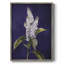 Reproduction encadrée FLORAL Series CCXLII - bois massif-1090638296