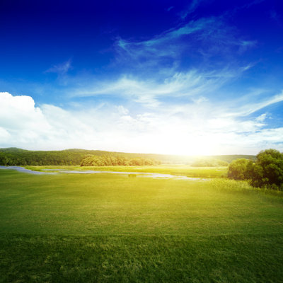 Natural Landscape - Wrapped Canvas Print