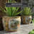 Despres Handmade Ceramic Cachepot-1655911130