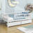 Twin Size 2 Drawers Wooden Daybed with Fence-1593223288