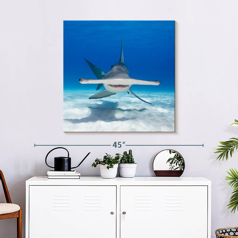 Requin-marteau Brampt nageant, H 30 po x l 30 po