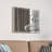 Stainless Steel Rectangle Mirror
