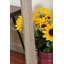 Miroir mural Wilkey Farmhouse Barnwood-1115268010