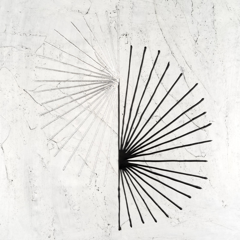 «Eunetta Offset Sunburst I on Canvas» par Michael Willett, reproduction, H 12 po x l 12 po