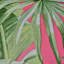 Papier peint à feuilles de palmier Alfresco 