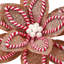 Tige de poinsettia 22 "sucre et épices-864613681