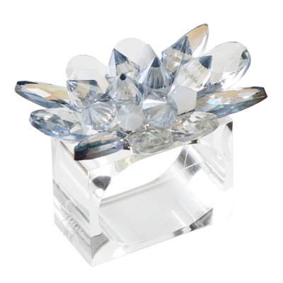 Spectra Napkin Ring Set