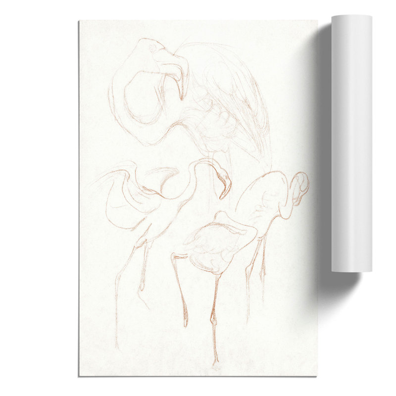 Flamingo Study by Theo van Hoytema - Frameless Print, 42cm H x 30cm W x 0.1cm D