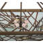 Rustic Lodge 4 - Light Pendant