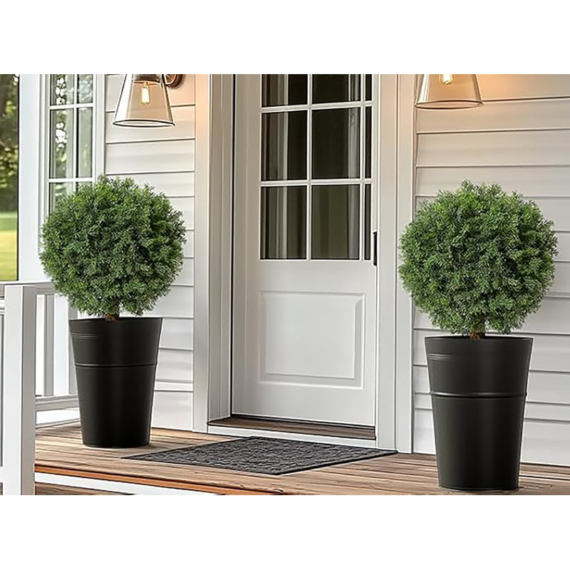 23.6cm Plant