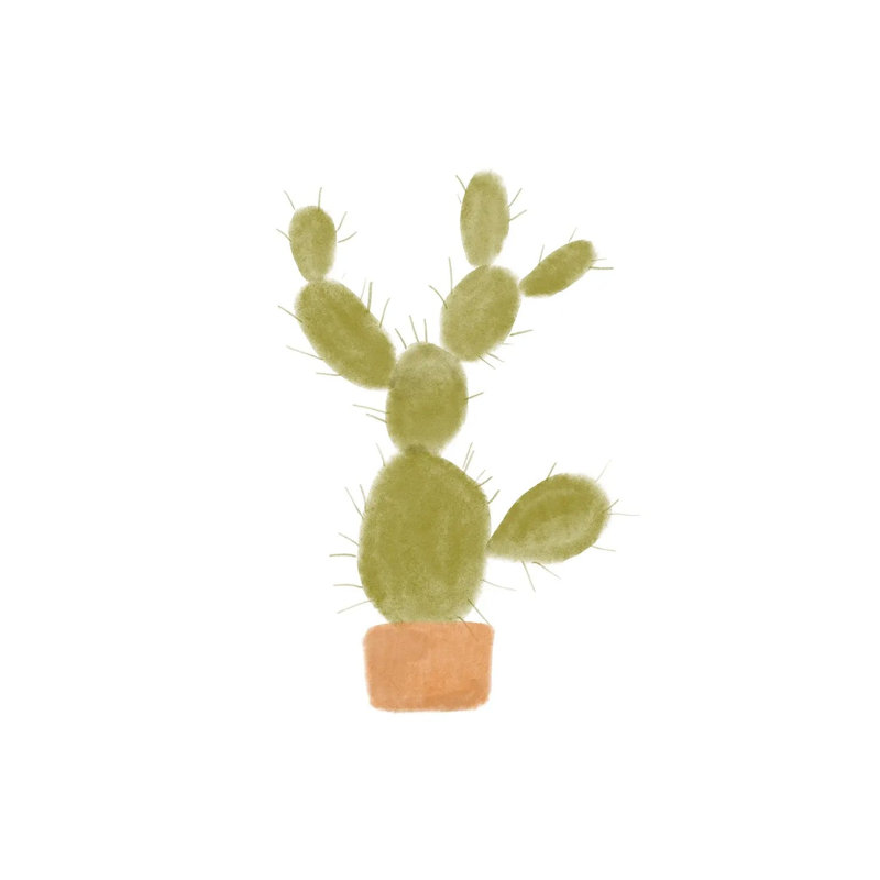 Watercolour Cactus I by Bannarot - Wrapped Canvas Print, 66.04 cm H x 66.04 cm W x 1.91 cm D