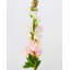 Real Touch Snapdragon rose 23 po-1814292122