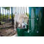 Fontaine autoportante Barid Park Fido