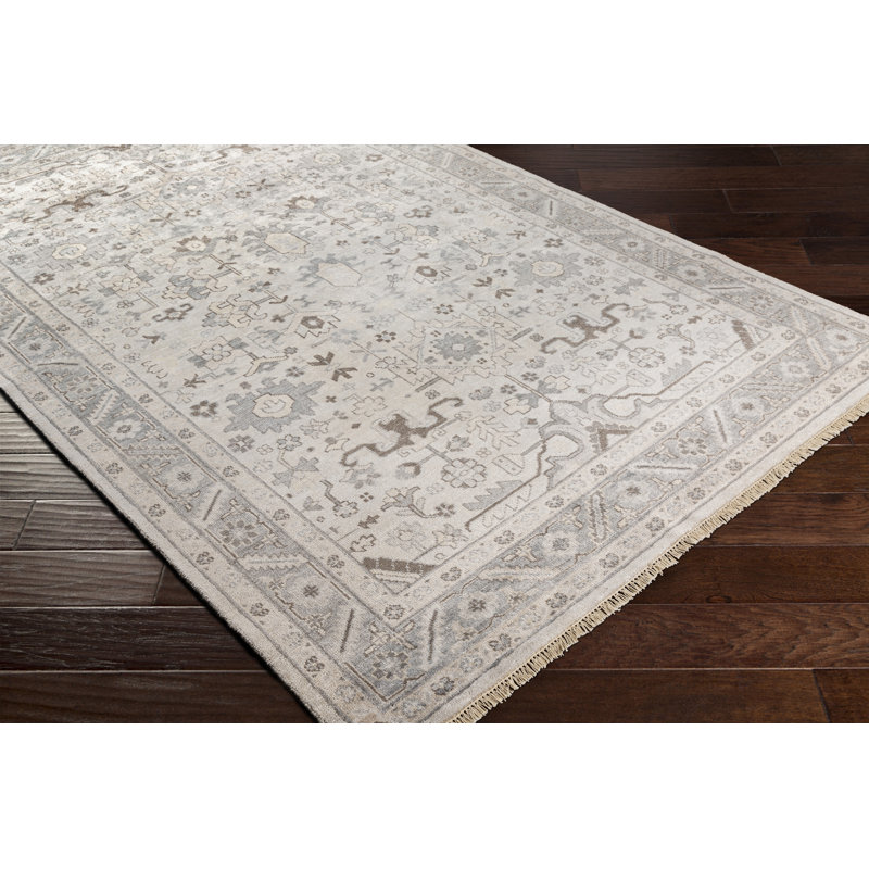 Bogaerts Viscose Oriental Indoor Rug, Rectangle 2' x 3'