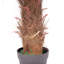 100cm Faux Palm Plant in Pot Liner