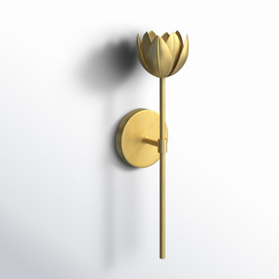 Dario Single Light Steel Dimmable Wall Sconces