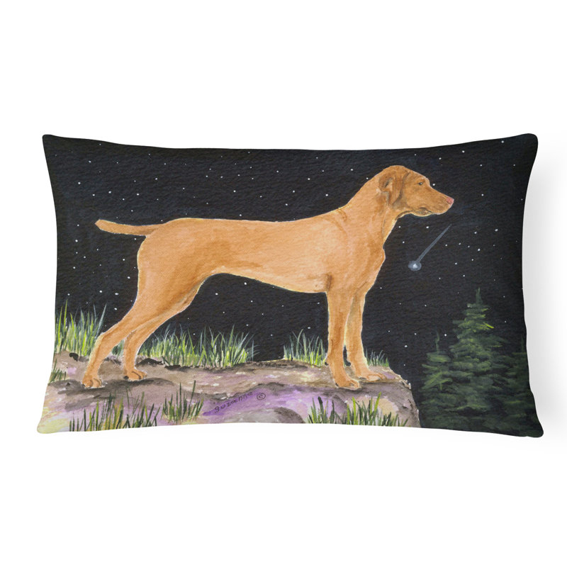 Coussin décoratif intérieur / extérieur Starry Night Vizsla