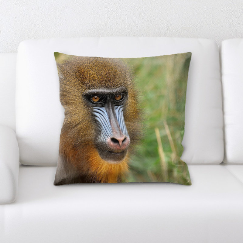 Coussin mandrill