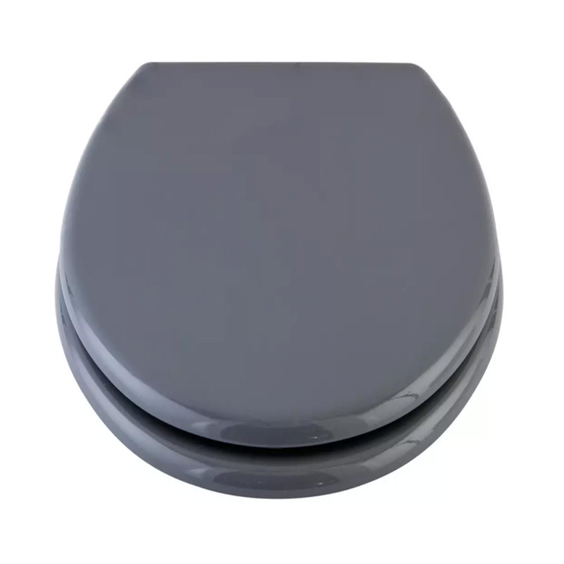 Hernandes Elongated Standard Toilet Seat, Grey