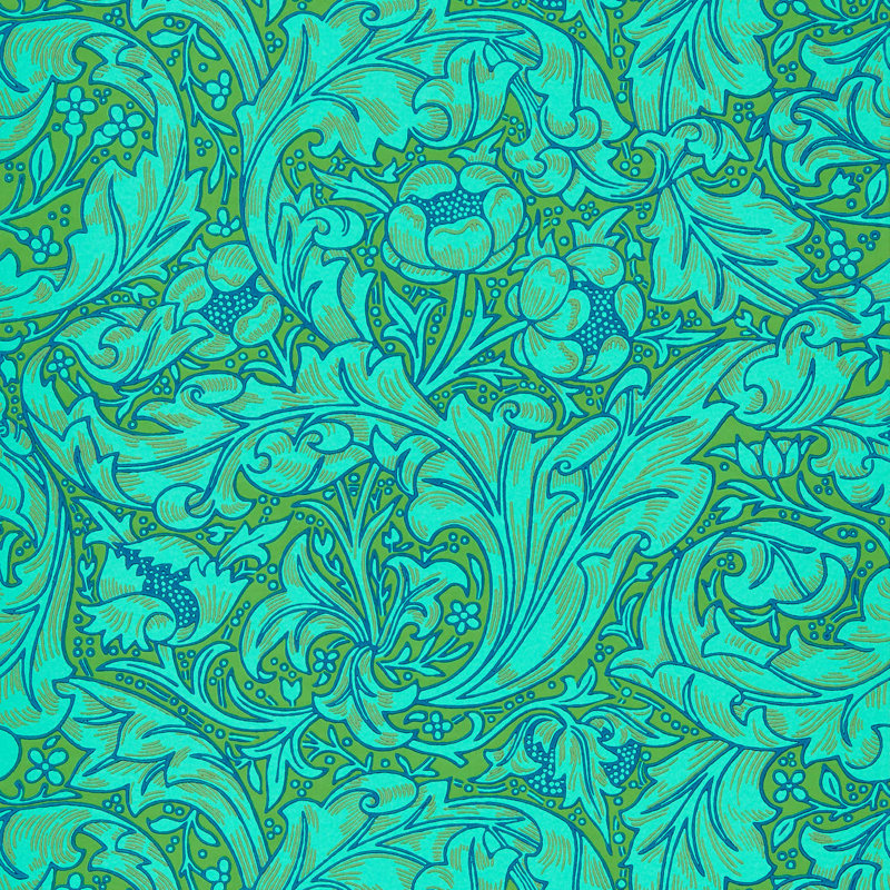 Bachelors Button 10.05m x 52cm Matte Wallpaper Roll