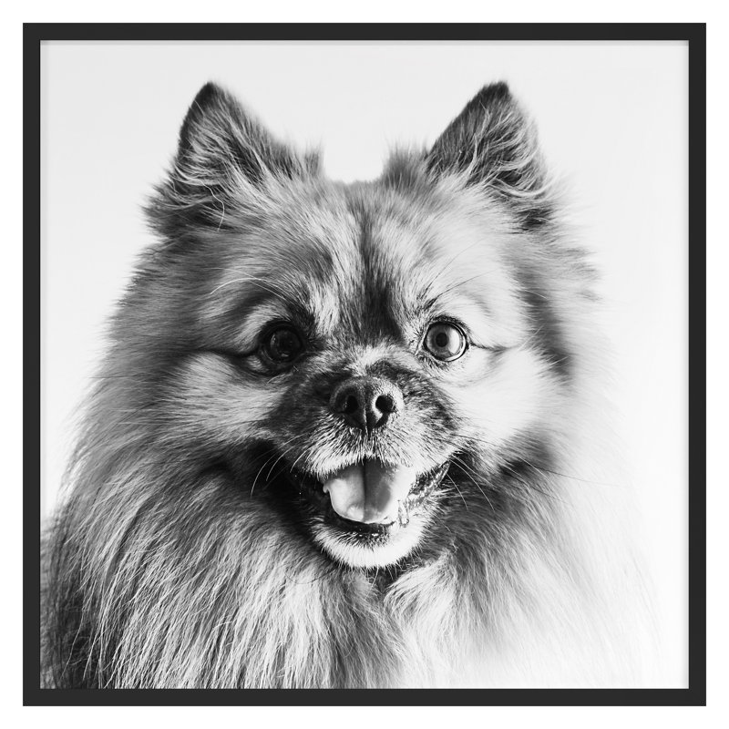 «Winning Smile 1» par Pearson, Victoria, H 30 po x l 30 po, Noir