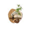 Tablette flottante murale irrégulière en grès avec lumière DEL, support de décoration murale avec vase en verre et plantes vertes artificielles pour le hall d'entrée-132055125-132055126