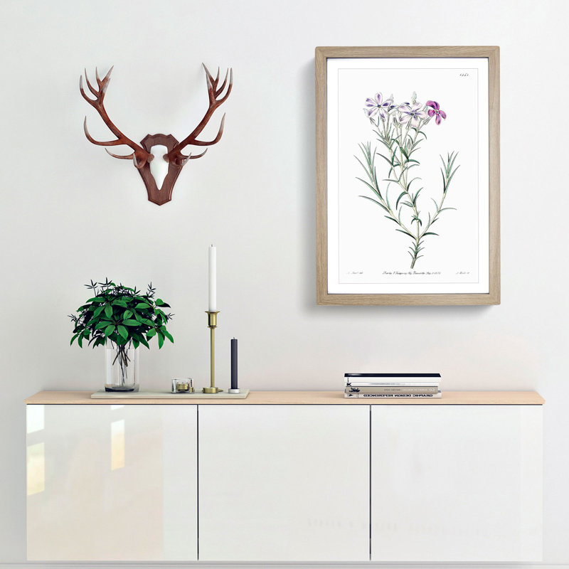 Purple Phlox Flowers - Framed Print, 48cm H x 36cm W x 2cm D, Oak Framed
