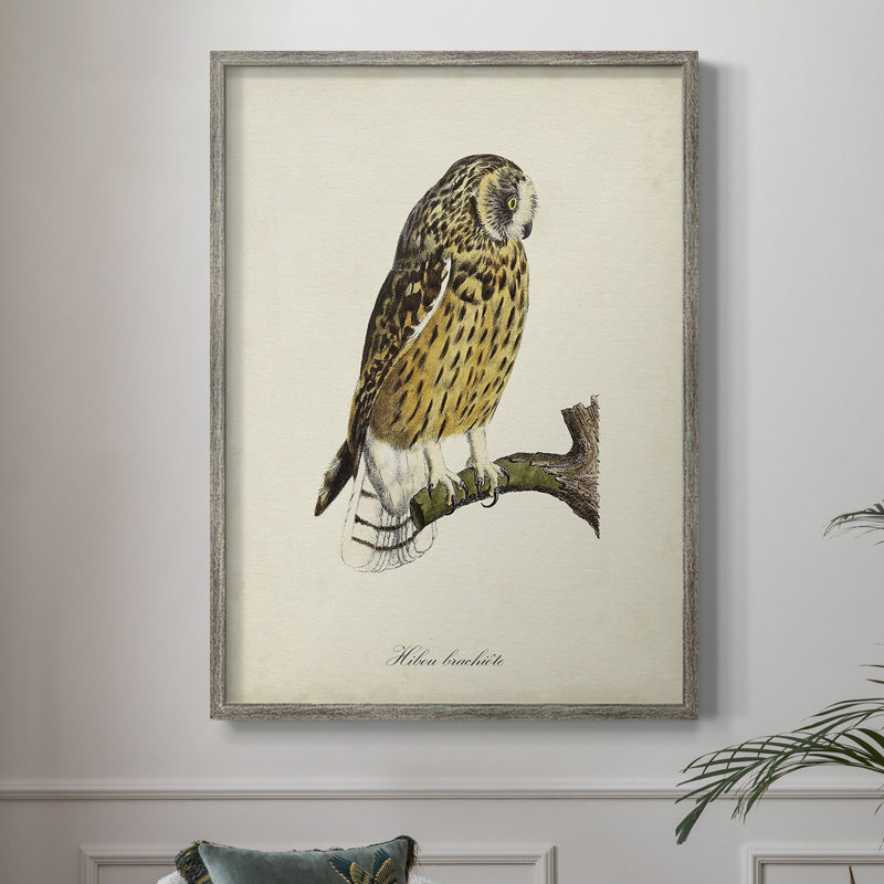 «French Owls II», reproduction encadrée - bois massif, H 11 po x l 9 po