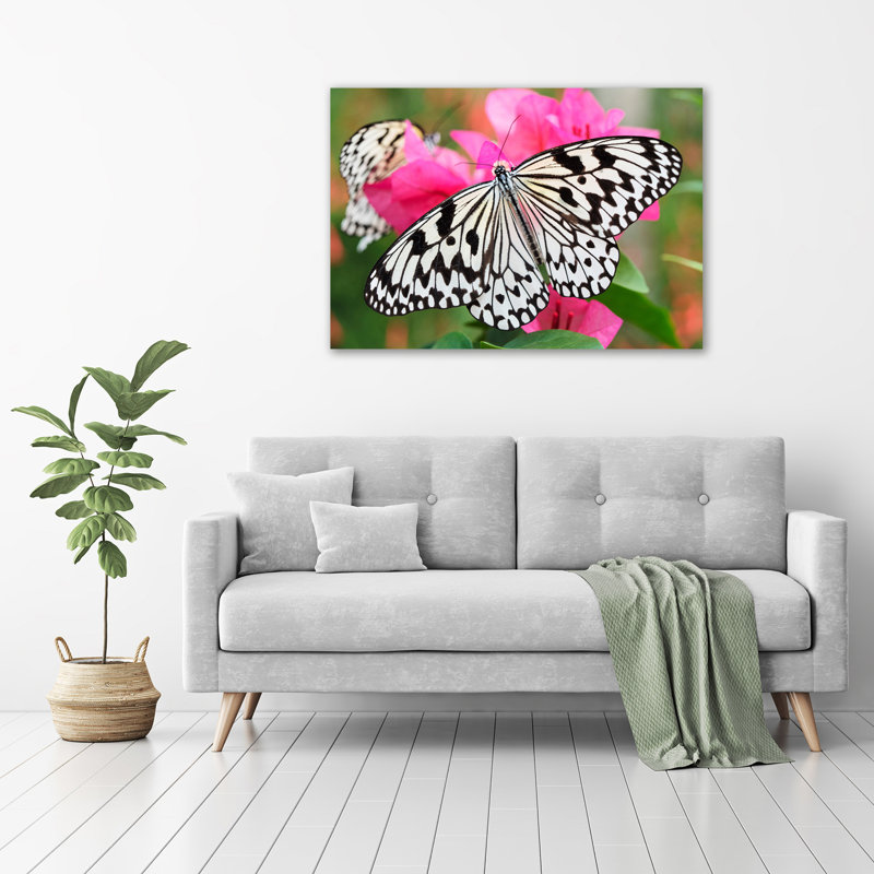 Butterfly On A Flower - No Frame Print on Glass