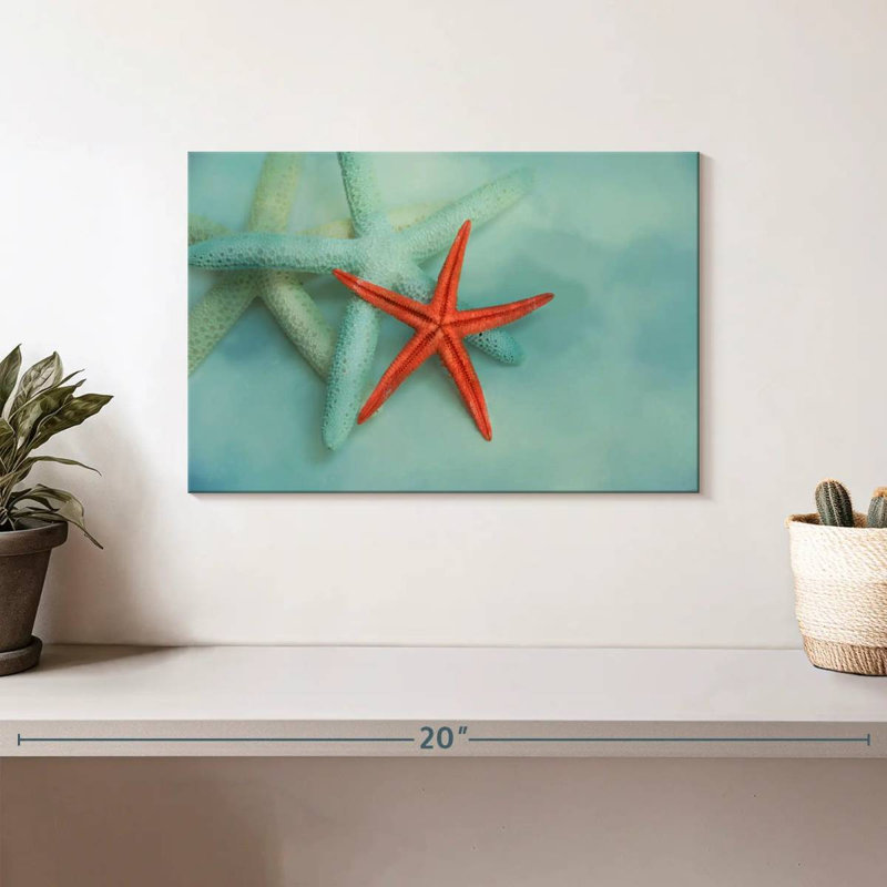 Brampt Ocean Treasures, H 8 po x l 12 po