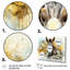 «Yellow Donkey Absurdity II - Donkey», ensemble de 4 pièces d'art mural-723972217