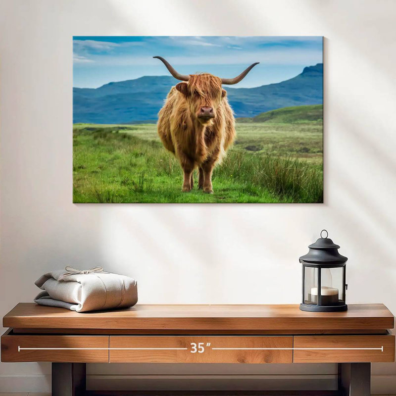 Brampt Irish Highland Cow, 16" H x 24" W