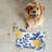 Azulejo Citrus - 1 Piece Bone Shape Feeding Mat