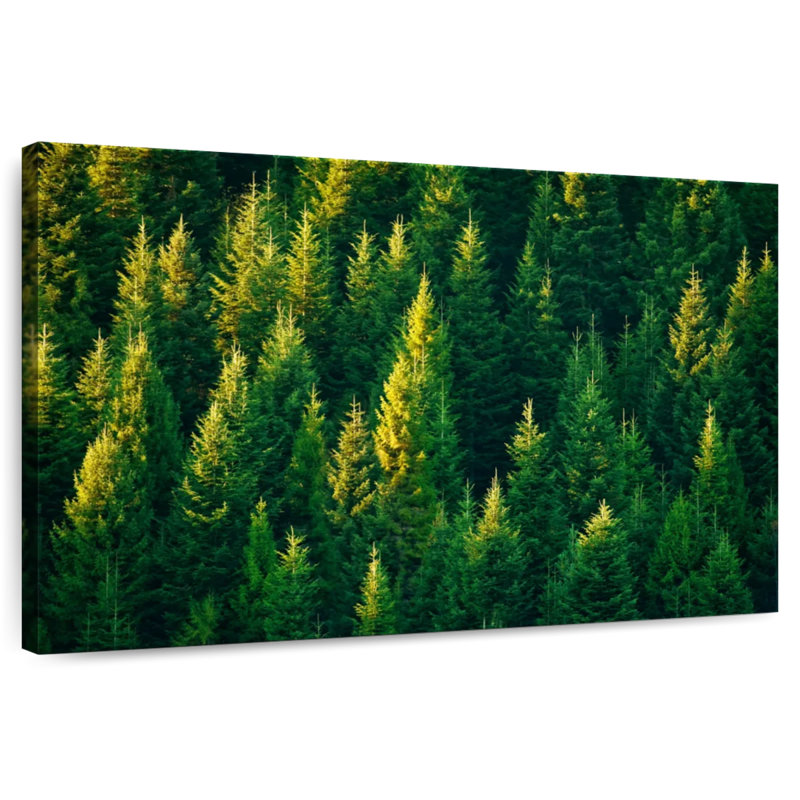 Harnek Forest Pine Trees