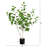 3Ft. Artificial Birch Tree