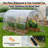 Walk-in Tunnel Greenhouse, Equipped With Galvanized Steel Frames And A Pe Cover-123684855