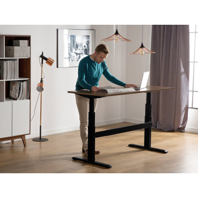Demps Adjustable Standing Desk