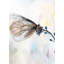 «Butterfly on Blue Flowers», reproduction encadrée avec passe-partout | Décoration intérieure-925203529-925203530
