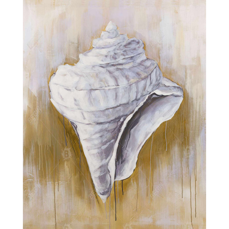 Conical Shell Print On Canvas