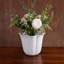 Vida Amelia Vase
