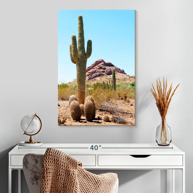 Harnek le cactus géant, H 30 po x l 20 po
