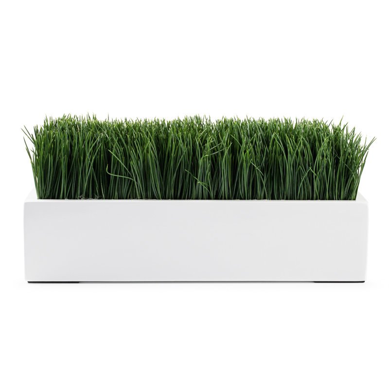 Grass White 16" Rectangle Arrangement