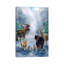 Woodland visiteurs-674297326-674297320
