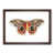 Walnut Framed