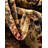 Eelijah Abstract Indoor Rug-73867175