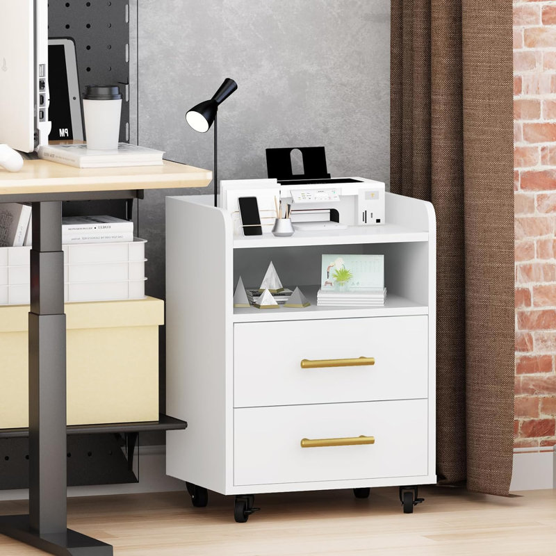 Gaisa 15.6 Wide 2 -Drawer File Cabinet